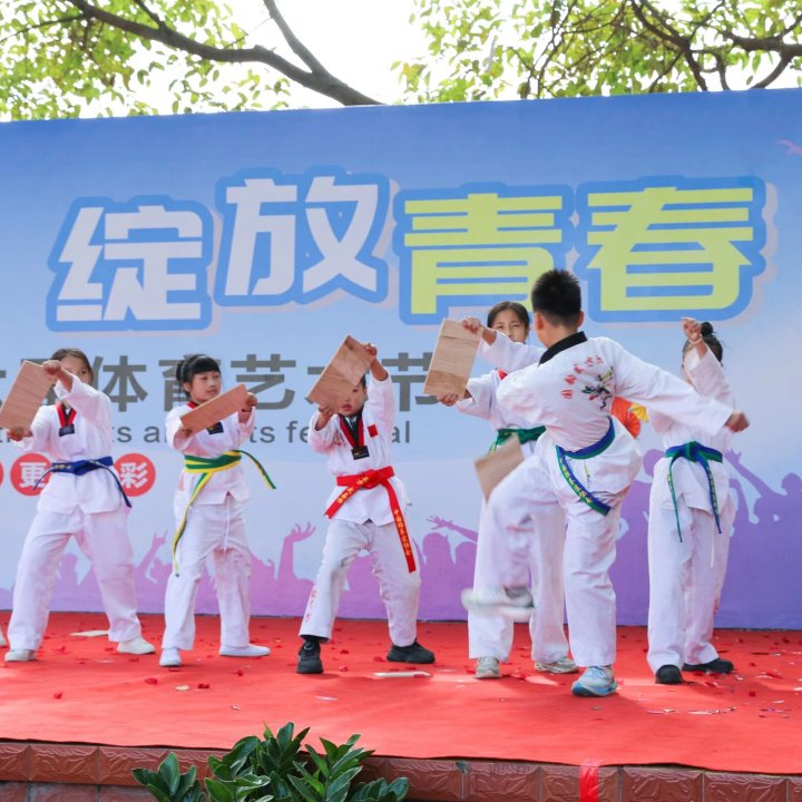 龙湖学校体育艺术3