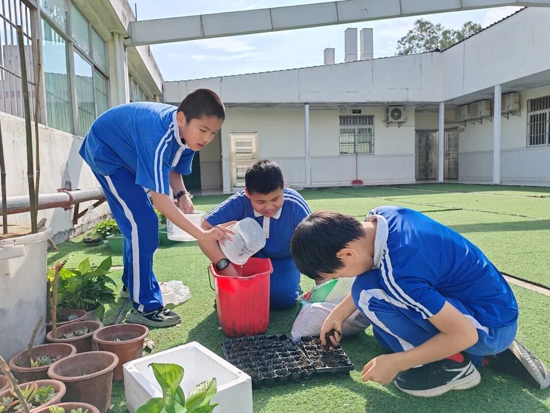 龙湖学校劳动基地1