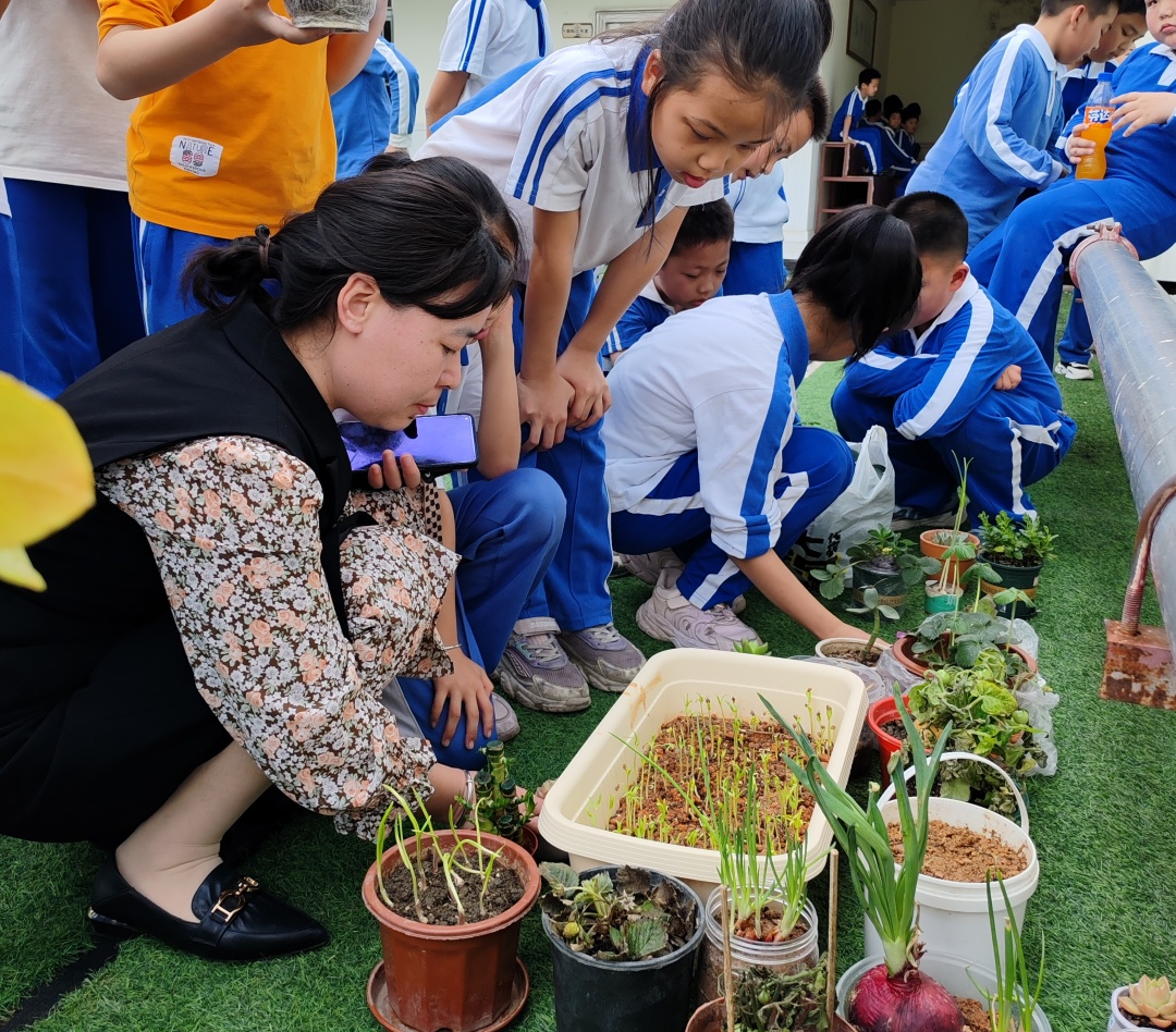 龙湖学校劳动基地3