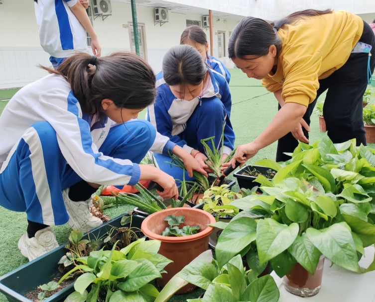 龙湖学校劳动基地4