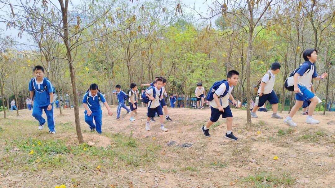 龙湖学校活力艺术