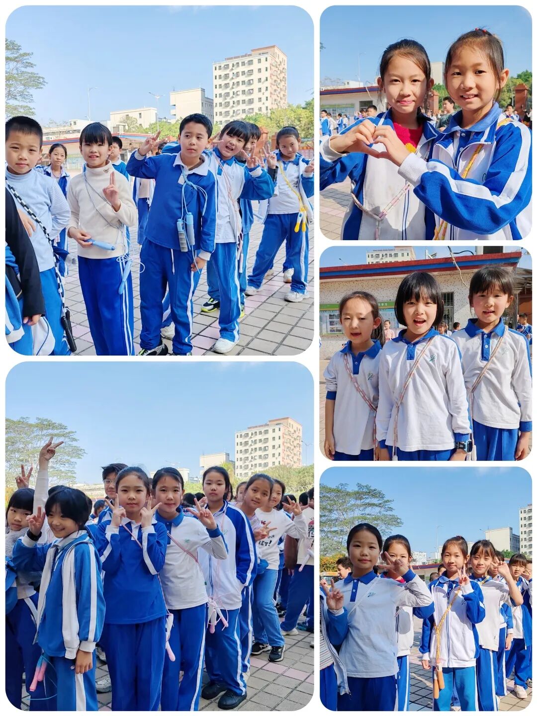 龙湖学校活力魅力四图片