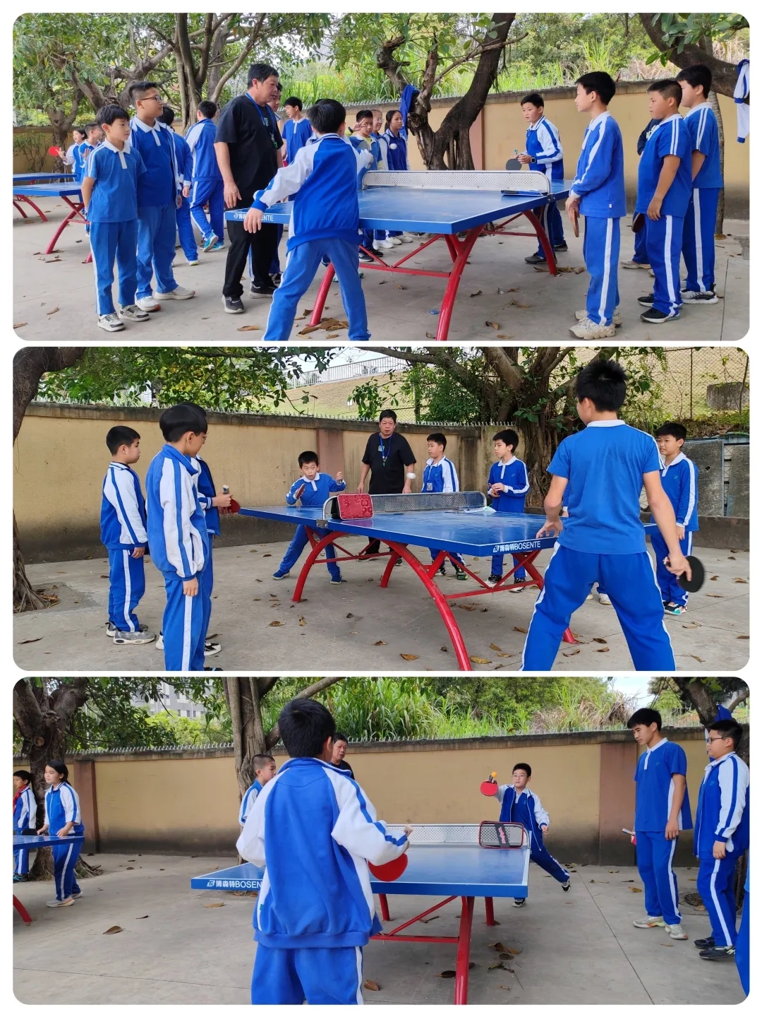 龙湖学校活力乒乓球社2